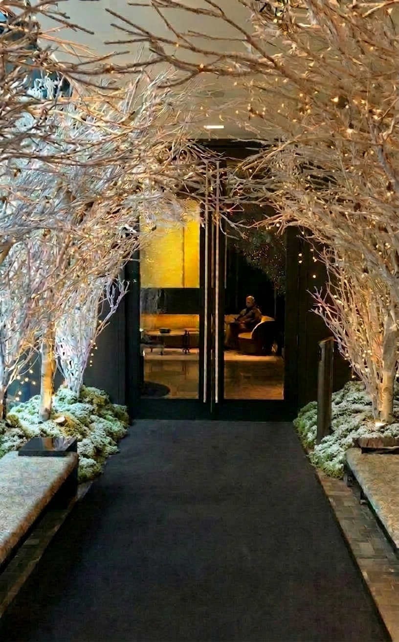 Ritz-Carlton NoMad winter arrival — white branches with delicate fairy lights and snow-dusted moss at the base, framing the entrance